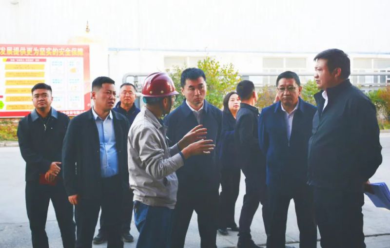 大通縣委副書記、縣長馬明旭一行蒞臨工投公司調(diào)研指導